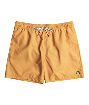 Billabong All Day LB shorts honeyTilbehør - Klær - ShortsFluid.no