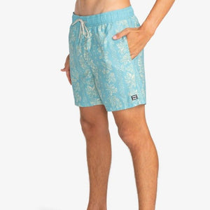 Billabong Vacay shorts lys blåTilbehør - Klær - ShortsFluid.no